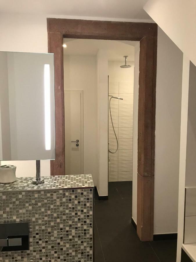 Modernes Apartment - Neustadt/Weinstrasse Stadt Нойштадт-ан-дер-Вайнштрасе Екстер'єр фото